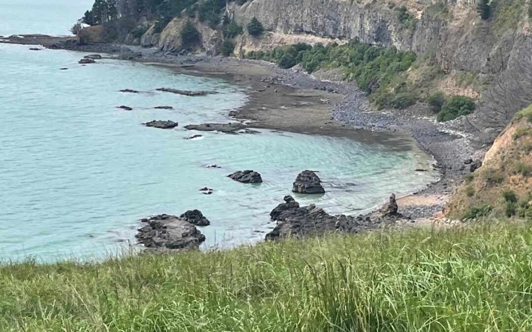 Meine ersten Eindrücke von der Südinsel Neuseelands