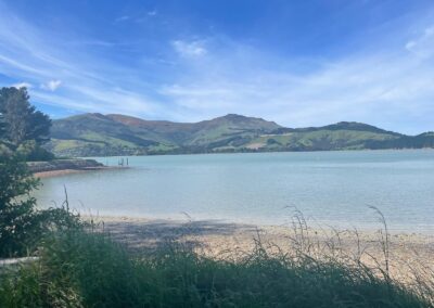 Blick über See und Berge in Neuseeland