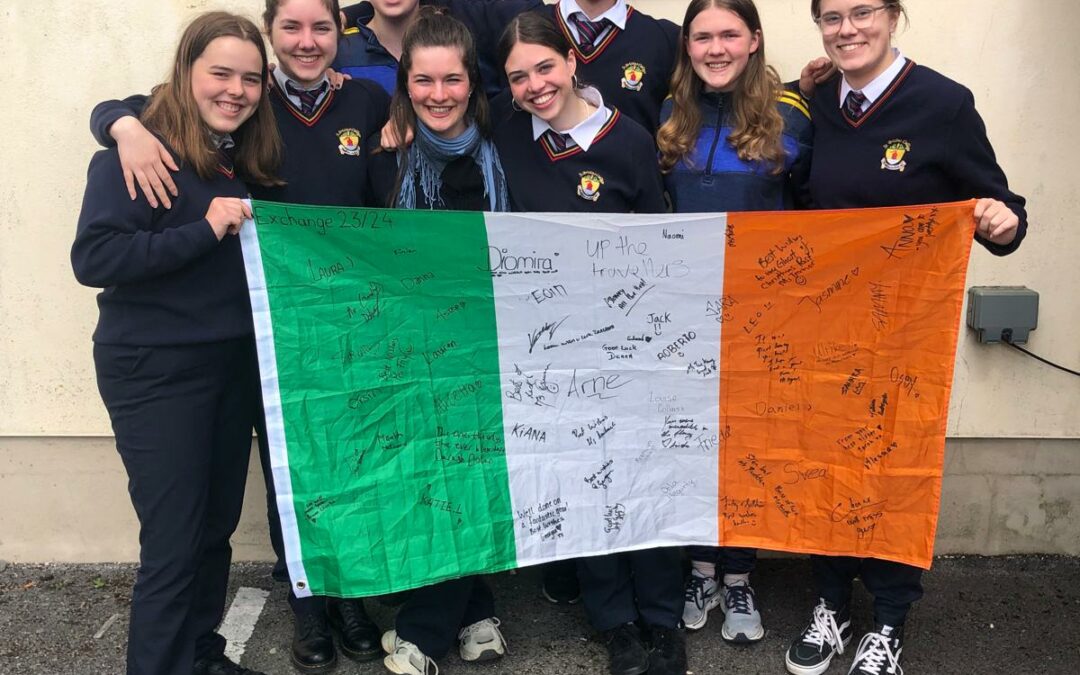 Ein Jahr in Ballinagh