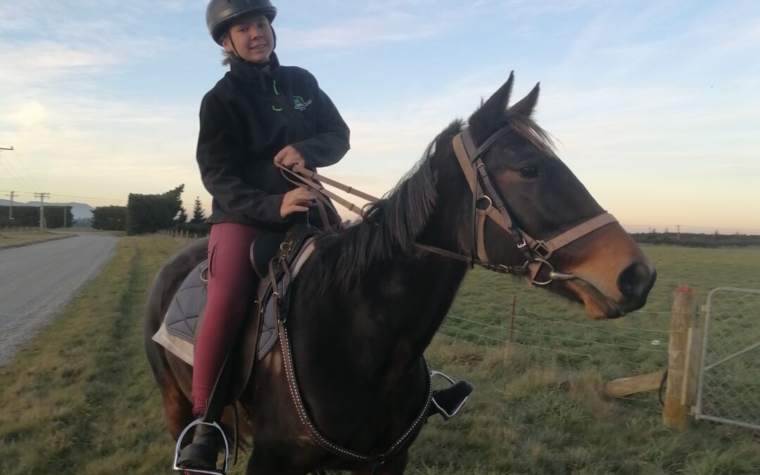 Meine ersten fünf Wochen in Neuseeland